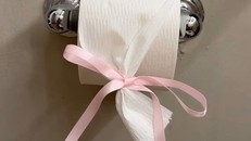 Tất cả mọi thứ được gói ghém gọn gàng trong một chiếc nơ. Ảnh: Tiktok