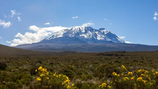 Kilimanjaro: UNESCO đầu tư 8 triệu USD để bảo vệ tài nguyên nước