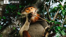 Ảnh: Phúc Phạm/Pexels