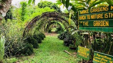 Khám phá những "viên ngọc ẩn" của Singapore cho chuyến đi tái tạo năng lượng đầu năm mới