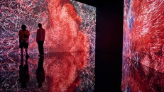 Triển lãm "Flesh and Bones: The Art Of Anatomy". Ảnh: Time Out.