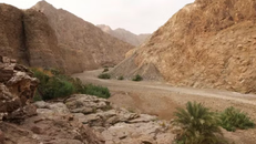 UNESCO đã ghi danh Khu bảo tồn Wadi Wurayah thuộc dãy núi Hajar ở Tiểu vương quốc Fujairah (UAE) vào “bảng vàng” thế giới. (Ảnh: thenationalnews.com)