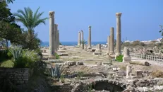 UNESCO bổ sung 6 di sản vào Danh sách Di sản Thế giới bị đe dọa