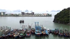 Khu vực cảng Ao Tiên, Đặc khu Vân Đồn, tỉnh Quảng Ninh. (Ảnh: TTXVN phát)