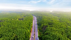 Vinhomes Green Paradise Cần Giờ được kiến tạo với tự duy tôn trọng và đồng hành cùng thiên nhiên