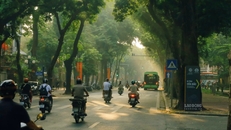 Một góc phố Hà Nội nhìn qua những hàng cây (Ảnh minh họa)