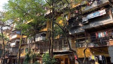 Mùa thu từ khoảng sân tập thể 