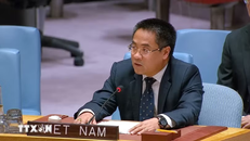 Công sứ Nguyễn Hải Lưu, Phó Trưởng Phái đoàn thường trực Việt Nam tại Liên hợp quốc. (Ảnh: Thanh Tuấn/TTXVN)