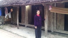 Khi việc chết 'không đúng quy trình'