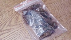 Thâm nhập thế giới dân chơi: Một lần làm 'thanh niên chuyên cần'