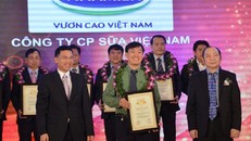 Điểm danh top doanh nghiệp lớn nhất Việt Nam