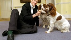 'Hốt hoảng' với những luật lệ kỳ lạ nhất ở Vương quốc Anh