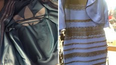 Thế giới mạng lại tranh cãi nảy lửa về màu sắc của chiếc áo này