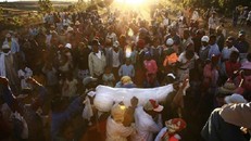 Tục nhảy múa cùng 'xác chết' ở Madagasca