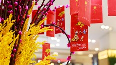 Lưu ý cần biết khi hái lộc đầu năm để mang lại may mắn