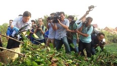  Nhân bức ảnh 'anh Thăng' vớt bèo