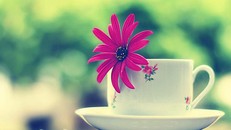 Bói vui: Xem tử vi của 12 cung hoàng đạo thứ 4 ngày 11/5/2016