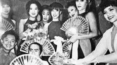 Tự truyện Ái Vân: 'Ca sĩ Việt cộng nằm vùng' ở hải ngoại