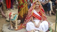 Sự thật bất ngờ về chuyện người kết hôn với... chó