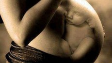 Những hình ảnh về 'tình mẫu tử' ý nghĩa nhân Ngày của Mẹ