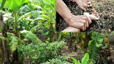 Những nghi vấn xung quanh vụ 'anh hùng cứu mỹ nhân'