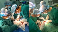 Các bác sĩ BV Chợ Rẫy thực hiện lấy, ghép tạng