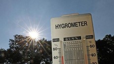 Nhiệt độ ngoài trời có lúc lên tới hơn 40 độ C tại Yeongcheon, thị trấn thuộc tỉnh North Gyeongsang, đông nam Hàn Quốc - Ảnh: Yonhap