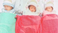 3 bé sơ sinh được xuất viện sau một tháng điều trị - Ảnh: Zing