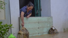 Điện Biên: Nhiều nhà dân bị ngập nước vì mưa lớn