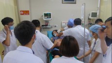 Cứu thành công thai phụ nguy kịch vì bị ong đốt