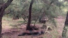 Hiện trường xảy ra vụ việc - Ảnh: Dân Việt