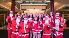 Vui Giáng sinh, quẩy cùng Đại nhạc hội Sun World Danang Wonders chỉ với 50.000 đồng