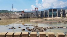 Thủy điện xả nước, người đàn ông chăn bò bị cuốn mất tích