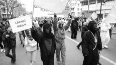 Chính phủ Pháp bị bao nhiêu tổ chức dọa kiện?