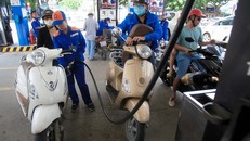 Petrolimex 'dọa' thiếu xăng dầu vì thuế bảo vệ môi trường tăng từ 1/1