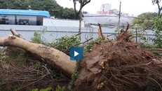 Hà Nội chi hơn 64 tỷ đồng mở rộng đường Láng