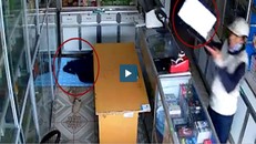 Trộm vào tận cửa hàng cuỗm laptop khi chủ tiệm đang ngủ