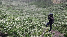 Tây Nguyên mùa xuân trắng