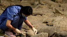 Trung Quốc khai quật khu lăng mộ có niên đại hơn 1.500 năm