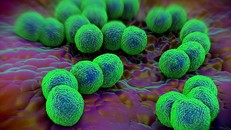 Anh: Ham tình 1 đêm, người đàn ông nhiễm siêu khuẩn không có thuốc trị