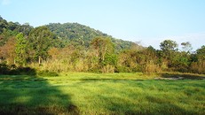 Vườn Quốc gia Chư Mom Ray: Tiềm năng và định hướng phát triển du lịch sinh thái