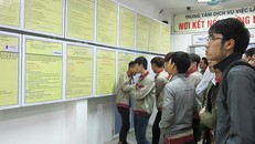 Năm 2018, trên 1600 người được tạo việc làm