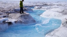 Băng tan tại Greenland đạt mốc 'cực điểm'