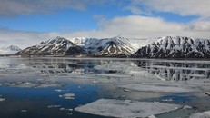 Phát hiện dấu vết 'siêu quái vật' tí hon ở Bắc Cực