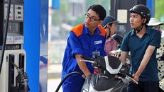 Không tăng giá xăng dầu trước Tết Nguyên đán