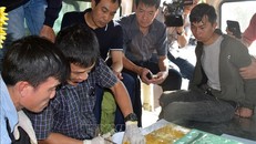 Mua 14.000 viên nghi là ma túy tổng hợp từ mẹ ruột