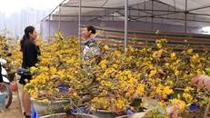 Dự báo thời tiết 3/2: Miền Bắc có nơi nóng 30 độ như mùa hè