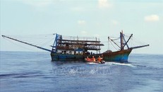 Cấp cứu kịp thời ngư dân gặp tai nạn trên biển Hoàng Sa