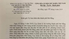 Quản lý thị trường Đà Nẵng bác thông tin xuất hiện gạo giả làm từ 'cao su'