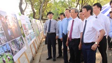 Trưng bày hơn 200 tác phẩm tại triển lãm ‘Biển, đảo quê hương’